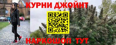 прущая мука Гатчина