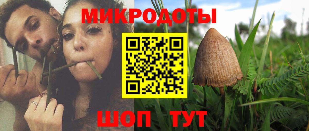 Тамбов  Псилоцибиновые грибы MAGIC MUSHROOMS  Псилоцибиновые грибы MAGIC MUSHROOMS  Вход с VPN 